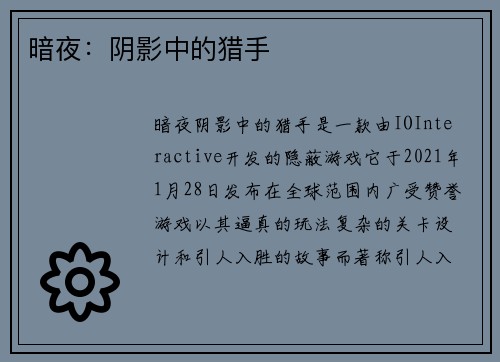 暗夜：阴影中的猎手