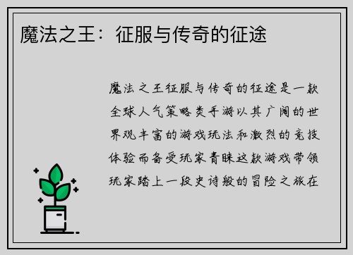 魔法之王：征服与传奇的征途